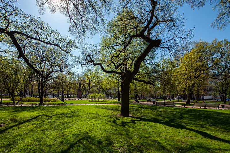 Garden in the middle of Arts Square (Ploshchad Iskusstv) in Saint-Petersburg, Russia