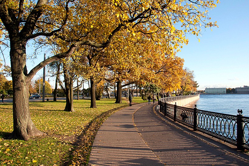 Kronverkskaya Embankment with autumn foliage in Saint-Petersburg, Russia Kronverkskaya Embankment with autumn foliage in Saint-Petersburg, Russia