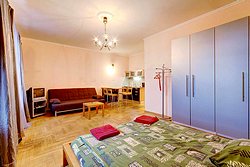 One Room Apartments Nevsky Prospekt