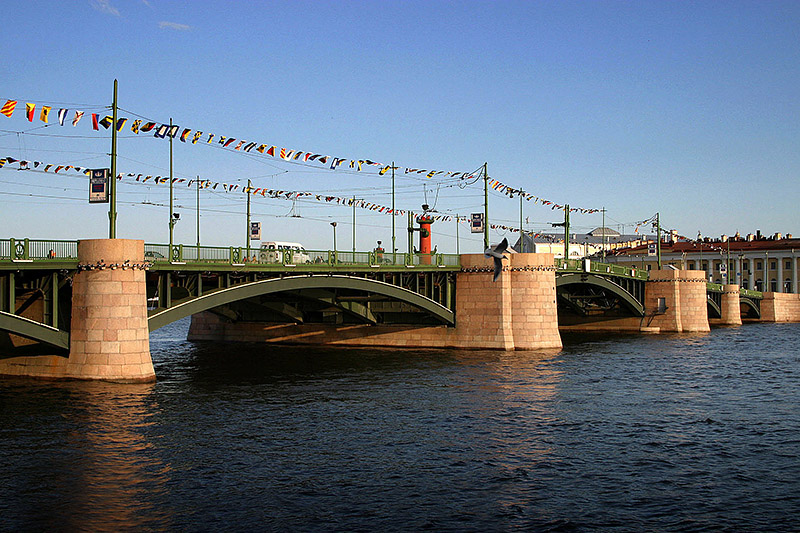 Baltic seagull and Birzhevoy Bridge with festive decorations in Saint-Petersburg, Russia