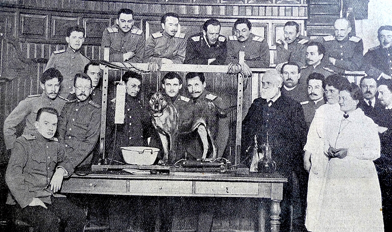 Prof. Ivan Pavlov in the laboratory Prof. Ivan Pavlov in the laboratory