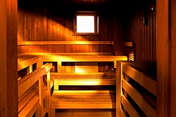 Sauna at the Angleterre Hotel in St. Petersburg