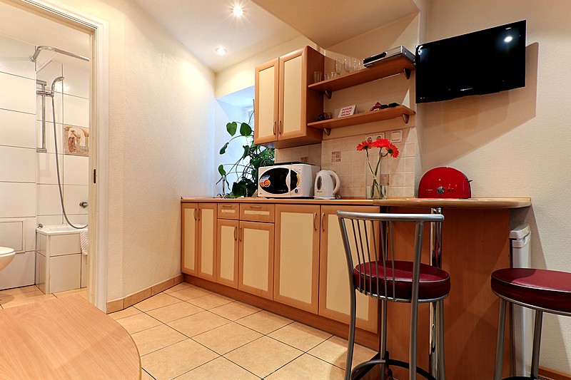 Economy Double Room (Standard Studio) at the Austrian Yard Apartments in St. Petersburg