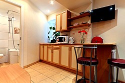 Economy Double Room (Standard Studio) at the Austrian Yard Apartments in St. Petersburg