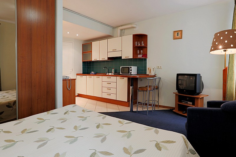 Double or Twin Studio at the Austrian Yard Apartments in St. Petersburg