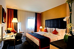 Standard Double Room at the Crowne Plaza St Petersburg Airport Hotel
