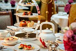 The Tea Lounge at the Four Seasons Lion Palace Hotel in St. Petersburg