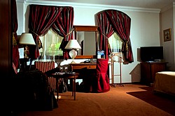 Business Room at the Golden Garden Boutique Hotel in St. Petersburg