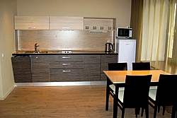Apartment Kitchen at the Moscow Hotel in St. Petersburg