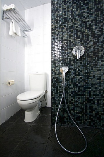 Bathroom of the Standard Single Room at the Saint Petersburg Hotel in St. Petersburg