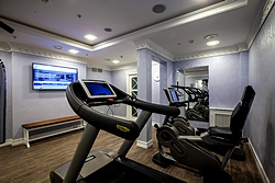 Gym at the Official State Hermitage Museum Hotel in St. Petersburg