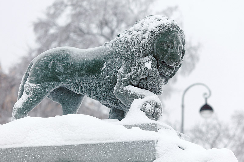 Statue of a lion on Palace Pier in St Petersburg, Russia in winter