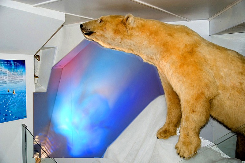 Stuffed polar bear at Icebreaker Krasin in St Petersburg, Russia