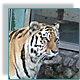 Leningrad Zoo, St. Petersburg, Russia