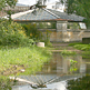 Botanical Garden, St. Petersburg, Russia