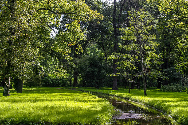 The grounds of the Botanical Garden in Saint-Petersburg, Russia