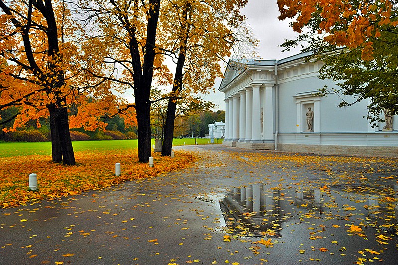 Autumn view of the park on Yelagin Island in St Petersburg, Russia