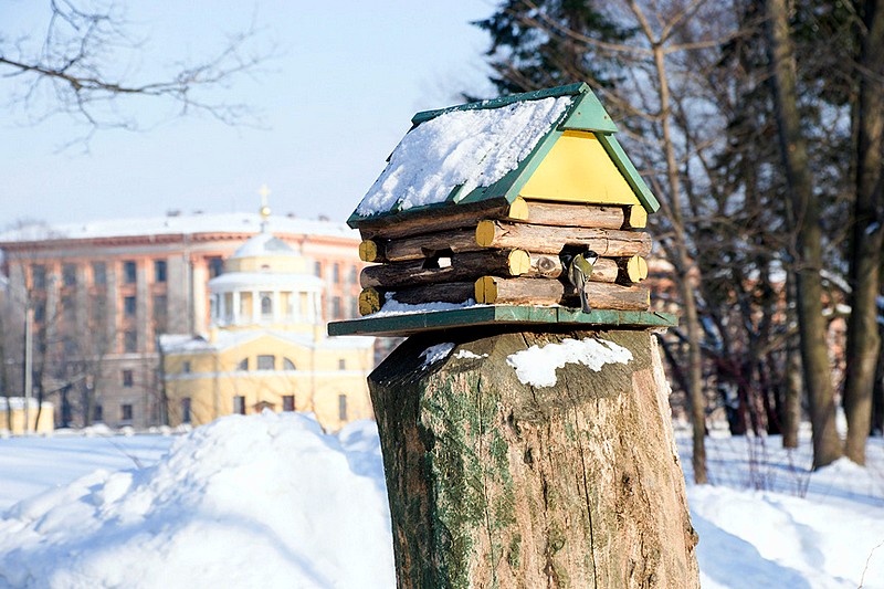 Feeding rack for birds in the park on Yelagin Island in Sant-Petersburg, Russia