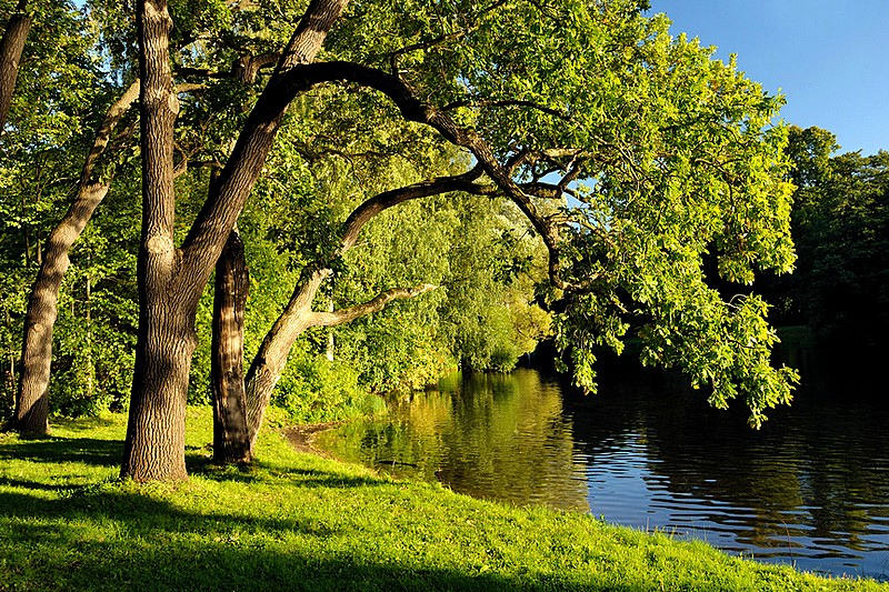 Summer on Yelagin Island in Saint-Petersburg, Russia