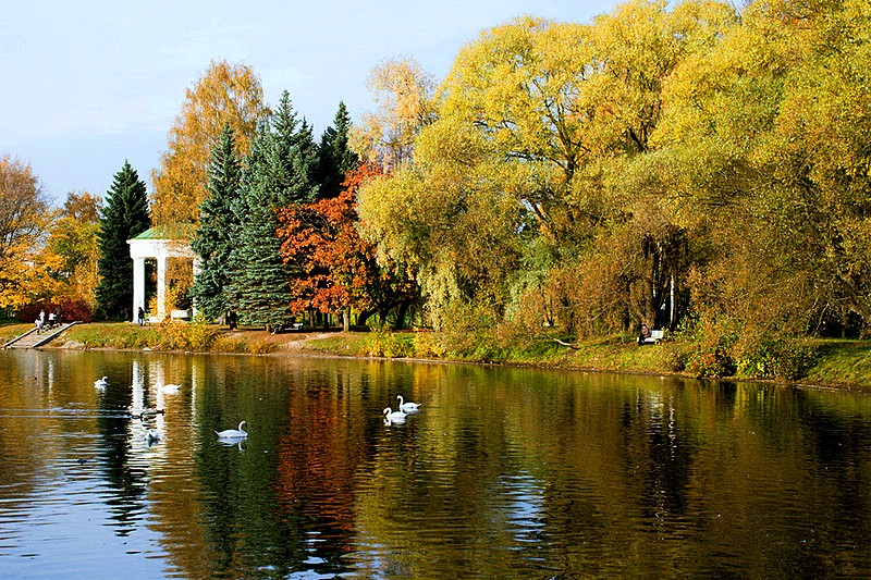 Lebyazhiy (Swan) Pond at Primorskiy (Maritime) Victory Park in St Petersburg, Russia
