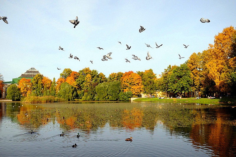 Autumn view of Tavricheskiy Garden in Saint-Petersburg, Russia