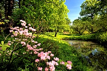 Botanical Garden, St. Petersburg, Russia