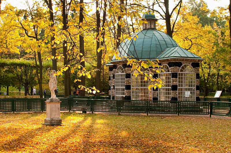 Fall foliage in Peterhof, west of Saint-Petersburg, Russia