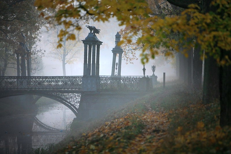Fog over Catherine Park in Tsarskoye Selo (Pushkin), south of St Petersburg, Russia