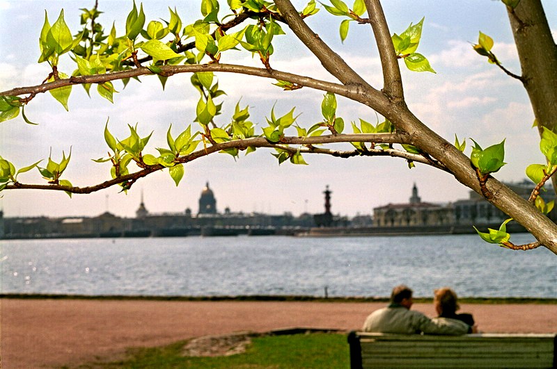 Neva River at spring